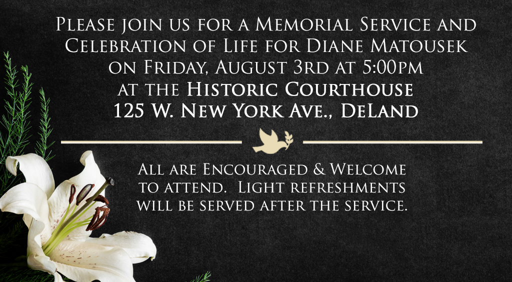 LAURA E. ROTH Clerk of the Circuit Court, Volusia County Florida